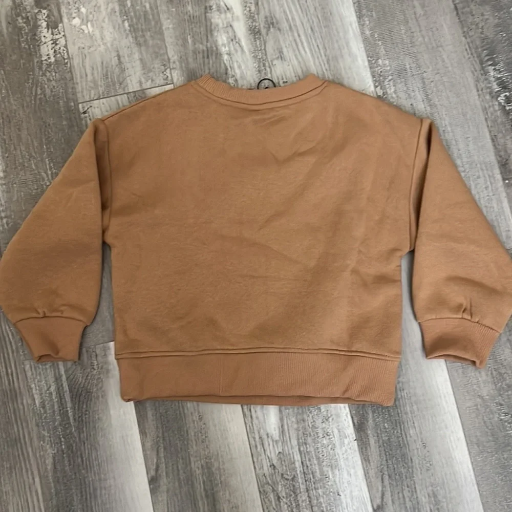 Zara Golden Buttons Sweatshirt